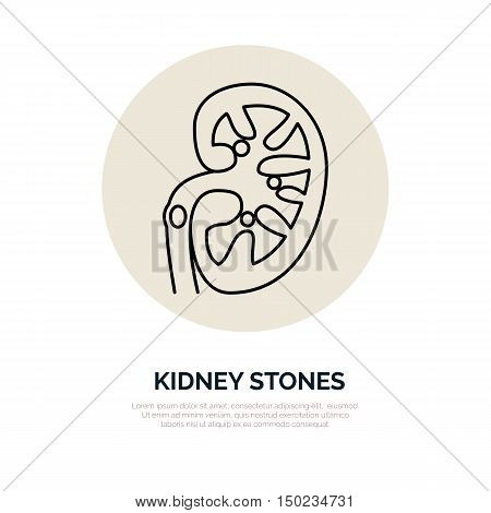 Human organ symbol kidney. Modern vector line icons of urology. Linear medical pictograms for clinic hospital. Kidney pictogram. Kidney stones problem
