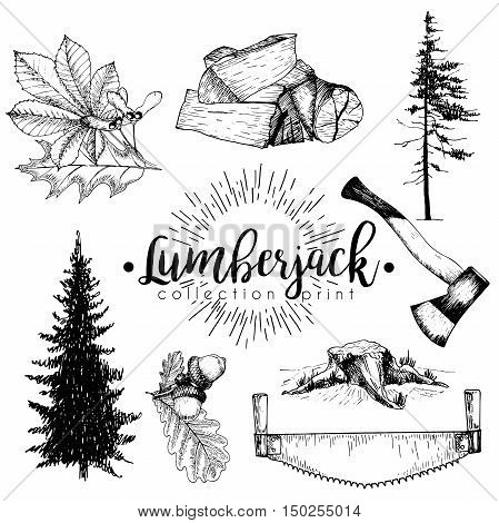 Vectro set of timber print collection. Stamp axe pine trees firewoods saw leaves and acorns. Hand drawn vintage style. Trendy hipster lumberjack illustration.