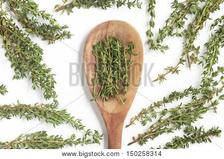 Fresh Thyme into a spoon isolated in white background