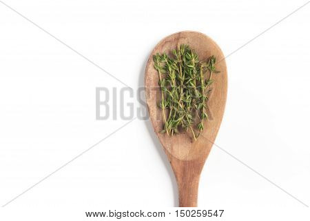 Fresh Thyme into a spoon isolated in white background