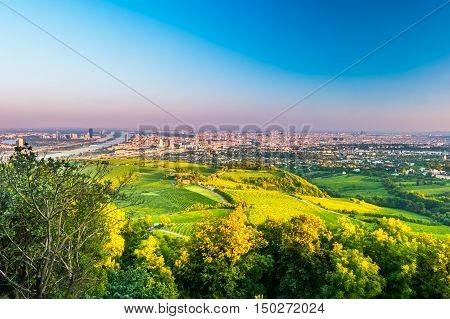 Beautiful view of skyline of Vienna and Danube River with green trees of Doebling district, Austria. Travel photo of the landmark.