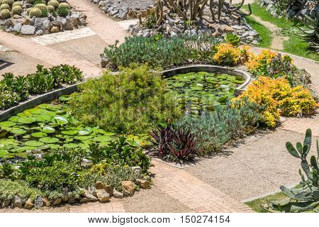 Garden - Botanic Garden Rio de Janeiro Brazil
