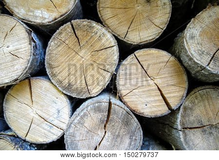 Wall of rugged textured firewood logs stacked in a rural Maine wood shed.