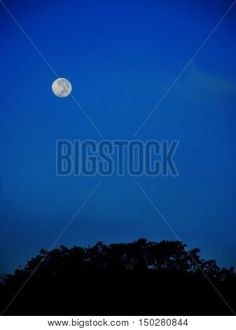 full Blue Moon in night background scene