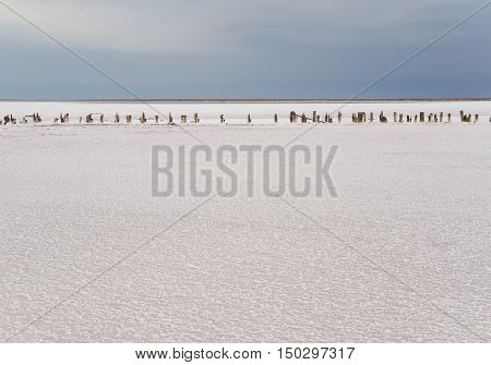 The lake is covered with a thick layer of salt. The remains of wooden piles protrude from the bottom.