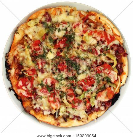 Homemade pizza with cheese at the plate