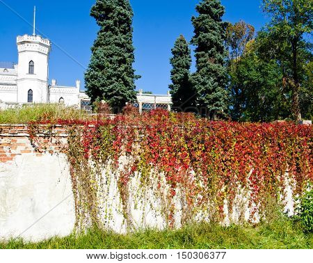 The White Swan palace on blue sky in Sharovka Ukraine