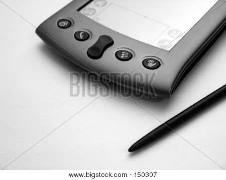 Svart & vit Pda
