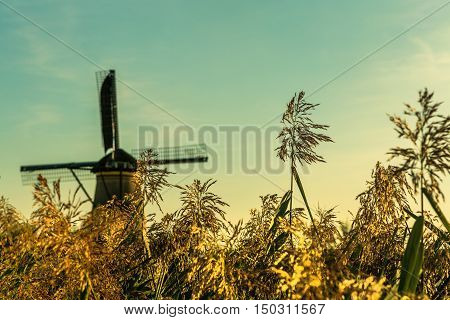 Colorful autumn scene in the famous Kinderdijk canals with windmills. Sunset in Dutch village Kinderdijk Netherlands Europe. UNESCO world heritage site.