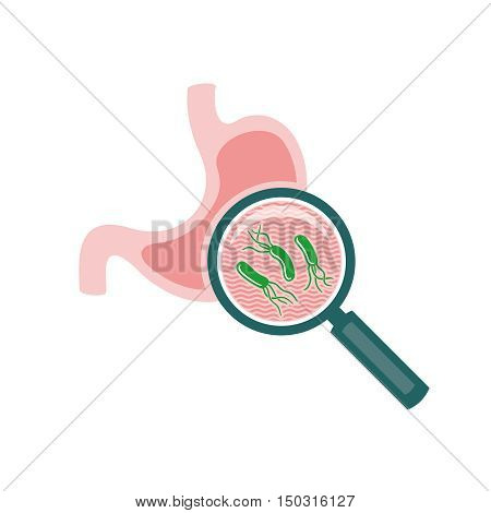 Helicobacter pylori bacteria stomach research illustration. Magnifying glass with bacteria under.