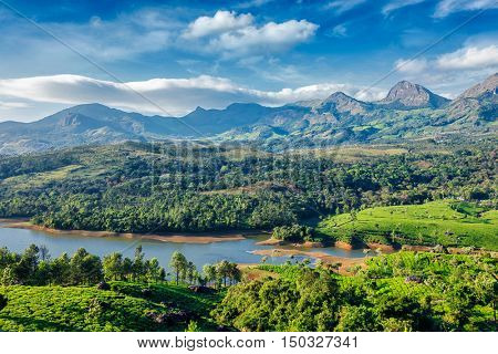 Tea plantations and Muthirappuzhayar River in hills near Munnar, Kerala, India