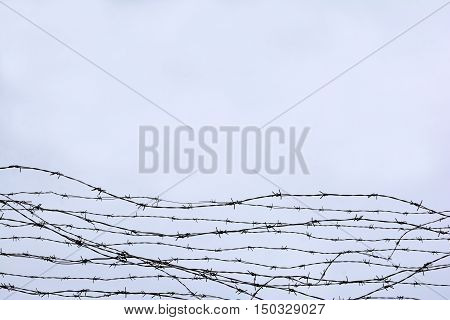 Fencing. Fence With Barbed Wire. Let. Jail. Thorns. Block. A Prisoner.   Under Tension. Holocaust. C