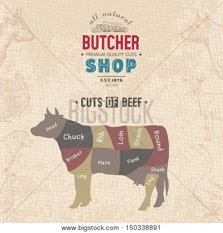 Cuts of beef. Butcher shop retro poster scheme and diagram - Cow. Vintage hand drawn vector Illustration
