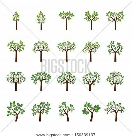 Set of Color Trees and Green Lafs. Vector Illustration