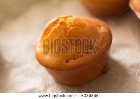 Homemade proja cupcakes selective focus - traditional corn pastry