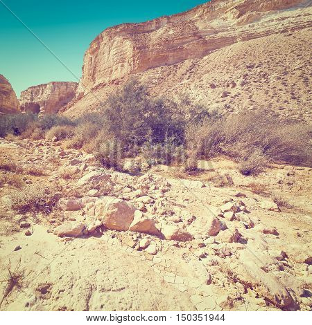 Canyon En Avedat of the Negev Desert in Israel Instagram Effect