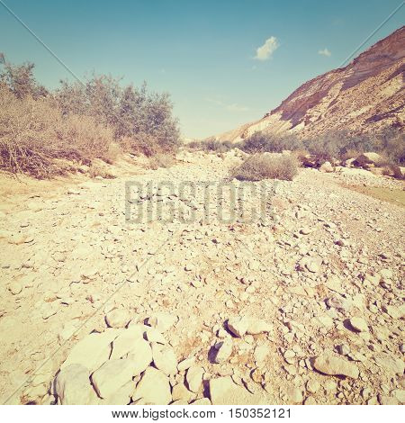 Canyon En Avedat of the Negev Desert in Israel Instagram Effect