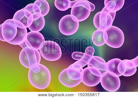3D illustration of fungi Candida albicans which cause candidiasis, thrush, on colorful background. Pathological fungus or yeast