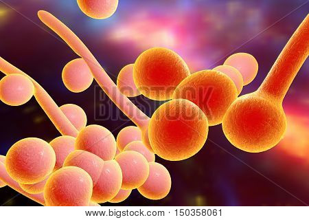 3D illustration of fungi Candida albicans which cause candidiasis, thrush, on colorful background. Pathological fungus or yeast