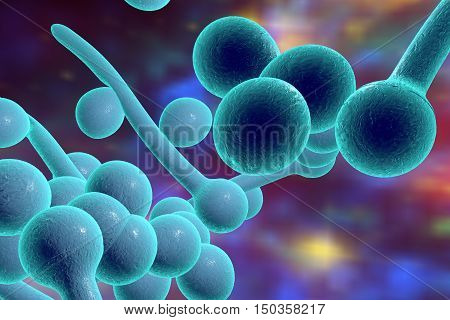 3D illustration of fungi Candida albicans which cause candidiasis, thrush, on colorful background. Pathological fungus or yeast