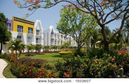 Tropical Garden