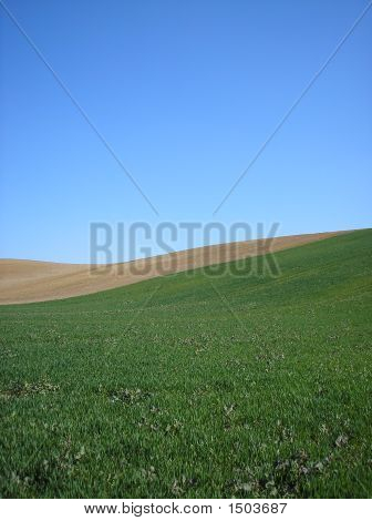 Mezők