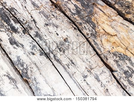 Old wood background and texture, brow color