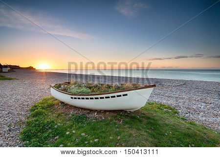 Budleigh Salterton