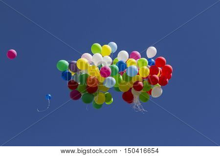colorful many balloons flying for freedom in blu sky