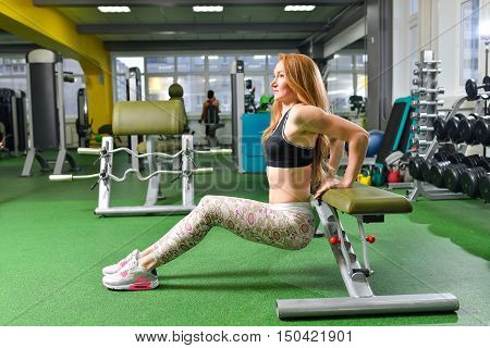 Fitness, sport, exercising lifestyle - Fit woman doing triceps dips at gym. Exercises with own body weight..