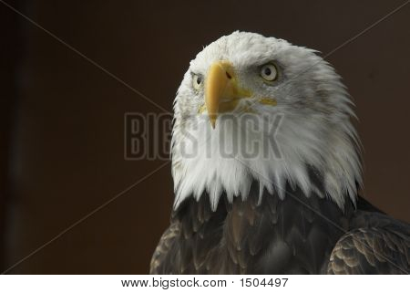_Dsc0050