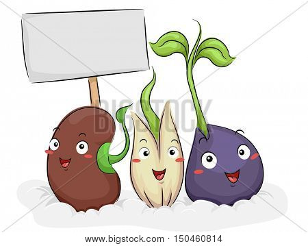 Colorful Illustration Featuring Happy Seed Mascots Demonstrating the Germination Process