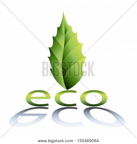 Green environmentally friendly natural leaf on a white background, vector illustration, eco