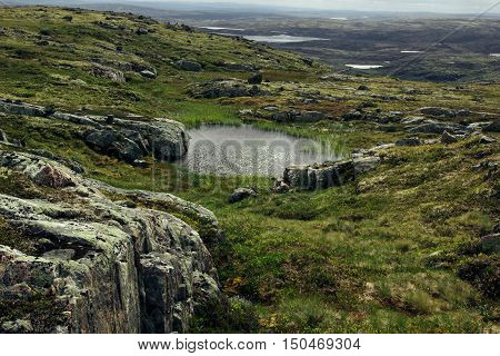 Arctic alpine meadows and lakes in sunny day. Arctic summer the tundra Norway.