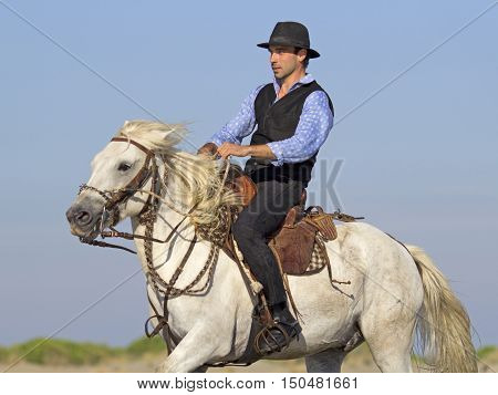 herdsman galloping on the beach whit his Camargue horse