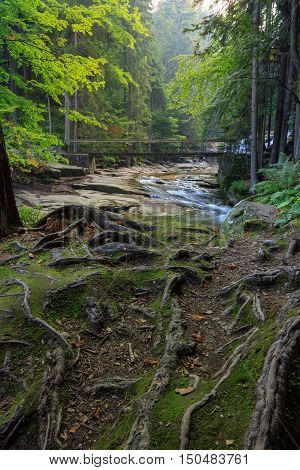 Mumlava river in the Karkonosze National Park Harrachov.