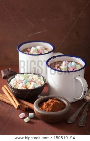 hot chocolate with mini marshmallows cinnamon winter drink