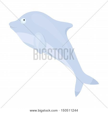 Dolphin icon cartoon. Singe animal icon from the big animals collection.
