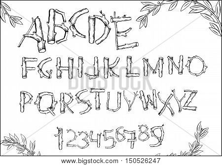 Font of woodchucks and sticks twigs leaves. Vector graphics. Numbers and letters