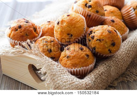 Little chocolate muffins in paper cupcake holder on the wooden tray with sacking napkin