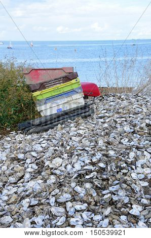 Whitstable United Kingdom - October 1 2016: Oyster shells and empty containers Whitstable beach