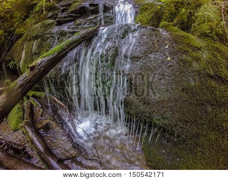Scenes Along Appalachian Trail In Smoky Mountains North Carolina