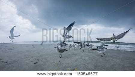 Topsail Beach North Carolina