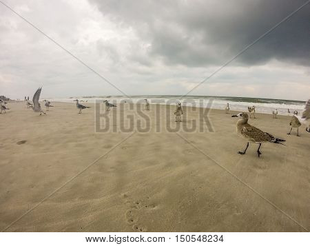 Topsail Beach North Carolina