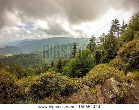 scenes along appalachian trail in smoky mountains north carolina