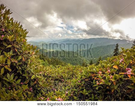 Scenes Along Appalachian Trail In Smoky Mountains North Carolina