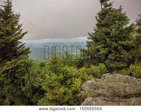Scenes Along Appalachian Trail In Smoky Mountains North Carolina