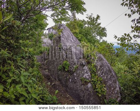 Scenes Along Appalachian Trail In Smoky Mountains North Carolina