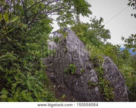 Scenes Along Appalachian Trail In Smoky Mountains North Carolina