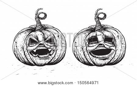 Halloween Pumpkin. Engraved Jack character vector illustration. Skecth style hand drawn pumpkin set.